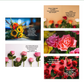 Heartfelt Echoes: Mother's Day Cards with Purpose