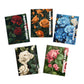 Introducing Roses So Powerful (Part 3) - Multi-Design Rose Arranged Birthday Greeting Cards (5-Pack)